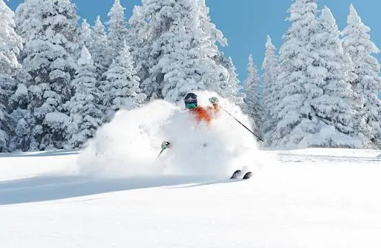 Never Predict The Snow